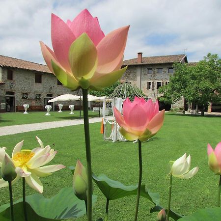 Agriturismo Il Vagabondo Buttrio Bagian luar foto