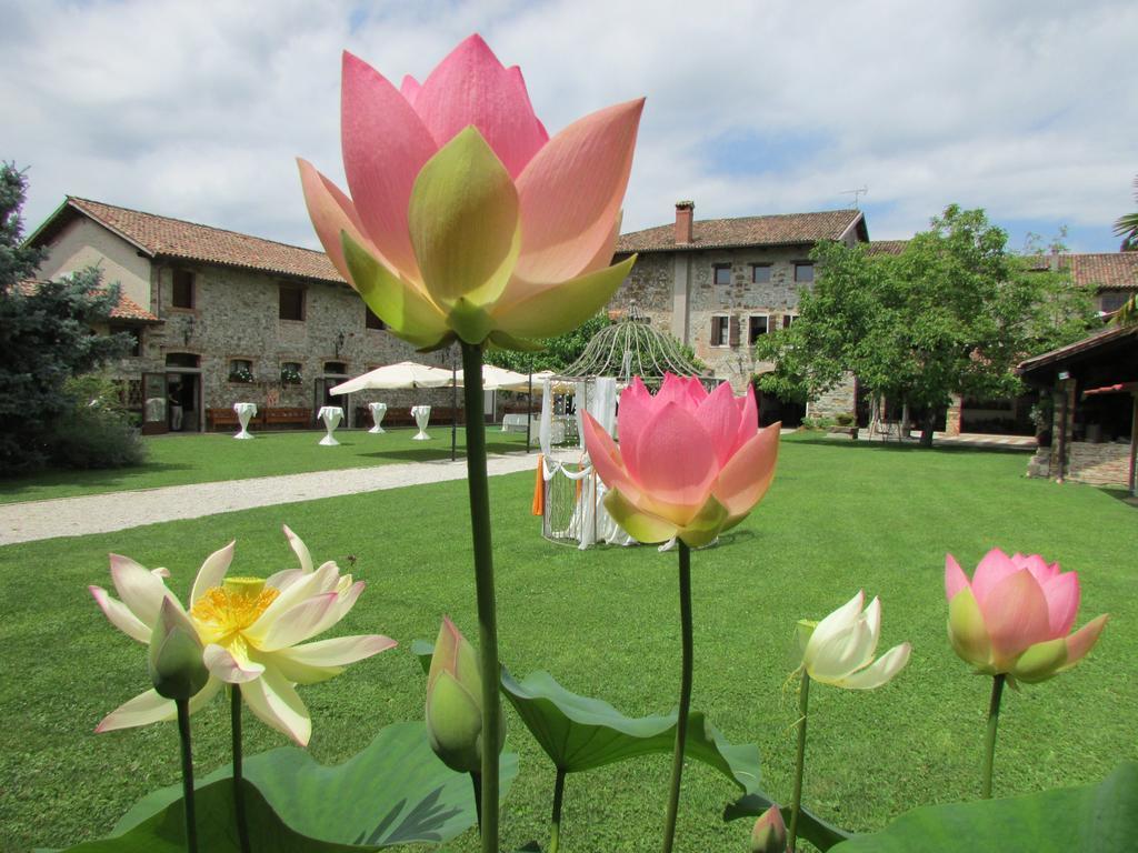 Agriturismo Il Vagabondo Buttrio Bagian luar foto